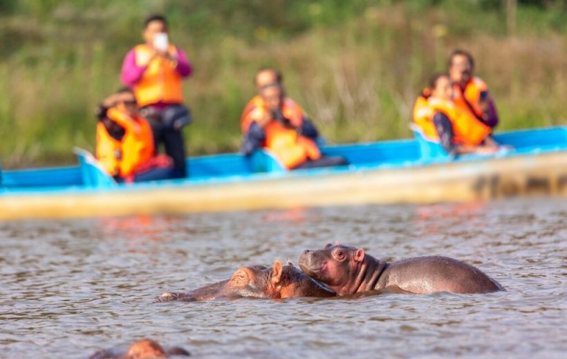 03 Days in Lake Naivasha