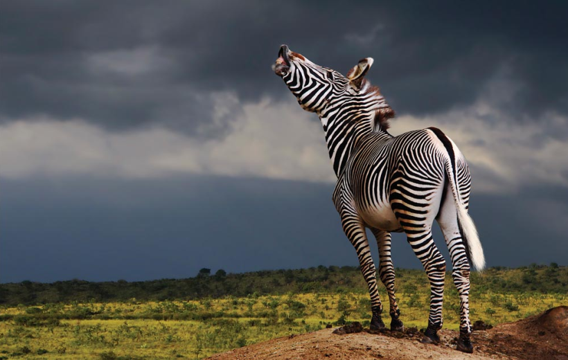 03 Days in Samburu