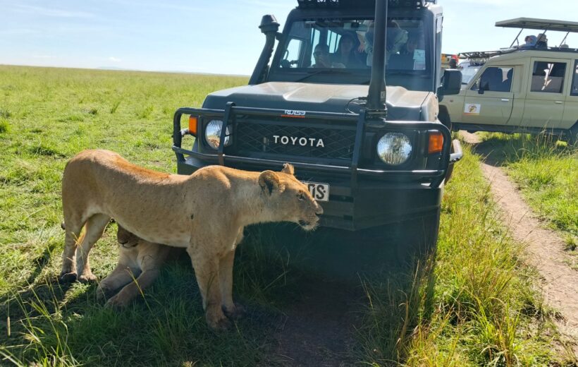 04 days Maasai Mara - Lake Nakuru