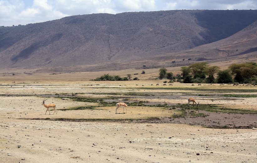 05 Days Serengeti Ngoro Ngoro Lake Manyara